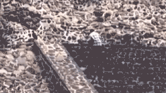 Six Americans among those shot at Mexico's pyramids as gunman's motive emerges - Fox News