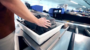 Monkey carcass, illegal meat seized at US airports as officials warn of disease threats