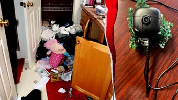 Judge describes illegal immigrant burglary crew's cross country operation as 'Ocean's Eleven-style conduct'