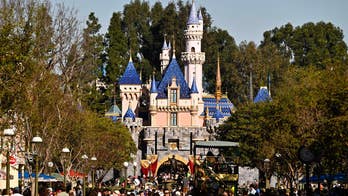 Disneyland cracks down on guest actions with restrictions, sparking hot debate