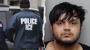 Illegal alien accused of biting 3-year-old girl's face at Texas park; ICE lodges detainer after arrest: DHS
