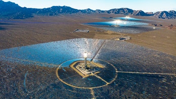 Obama-era 'clean energy' solar power plant still uses fossil fuels -- and kills thousands of birds annually
