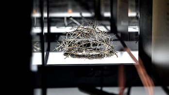 New book on archaeological evidence for Jesus rockets to top of bestseller list