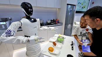 Home robot cooks, cleans and organizes your life