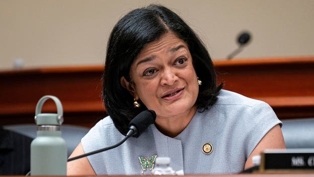 Jayapal crushes primary field, advances to November