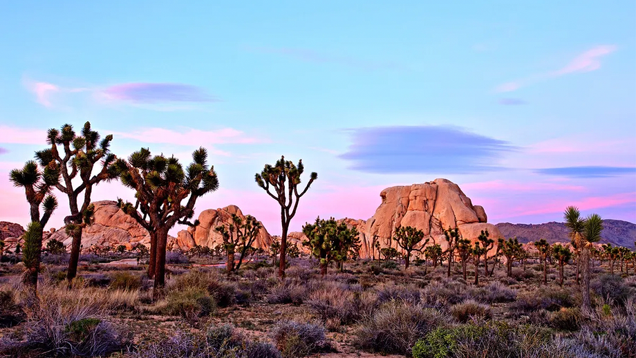 Hiker stumbles on human skull in iconic desert and detectives open homicide probe