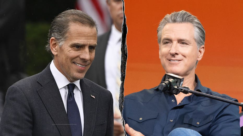 Hunter Biden trashes Democratic leadership, hails Gavin Newsom as party's 'greatest warrior'