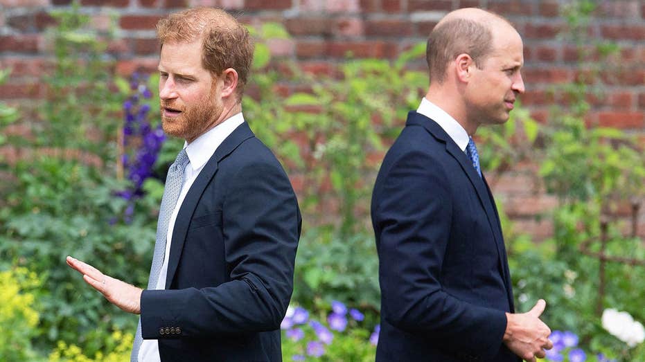 Prince William’s ‘ruthless side’ emerges as he views Prince Harry as ‘untrustworthy': experts
