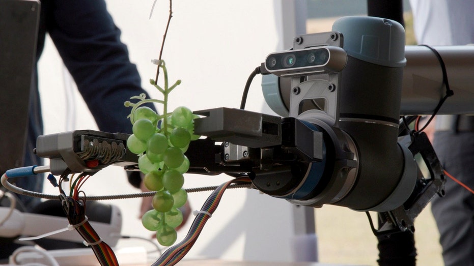 AI could be coming for your wine as experts turn to technology for industry overhaul