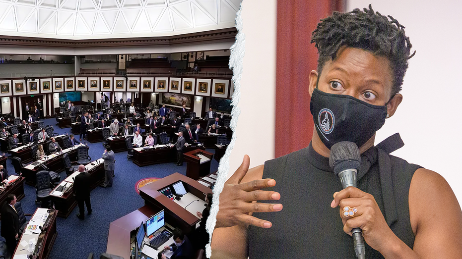 WATCH: Chaos erupts as Florida Dem in pink jumpsuit grabs bullhorn mid-vote: 'It's illegal!'