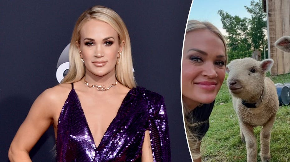 Carrie Underwood says her family could be 'self-sustained' on Tennessee farm away from Hollywood spotlight