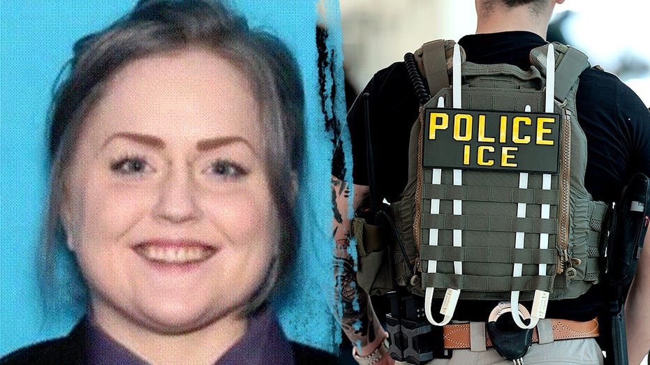 Woman pleads guilty to paying for sexual torture videos involving monkeys for online group: 'Sick person'