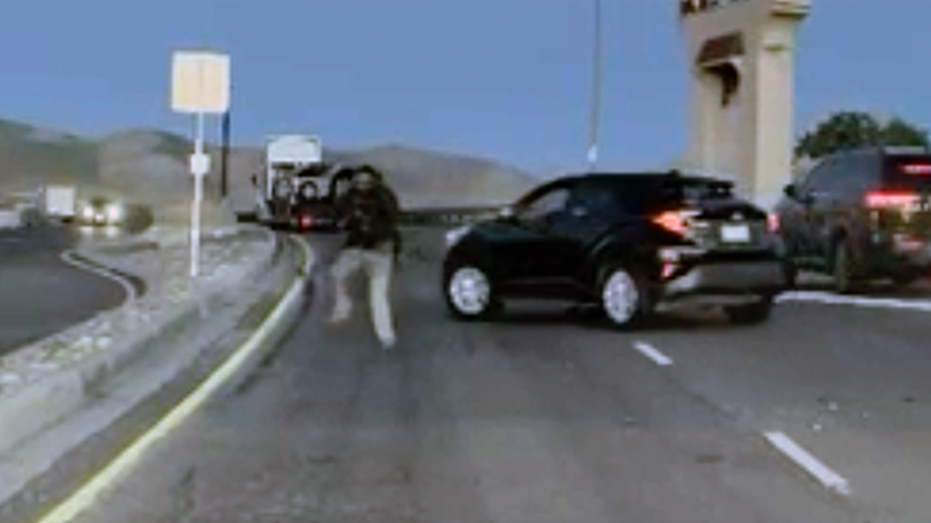 ICE involved in shooting after agency says illegal immigrant gang member tried to ram officer