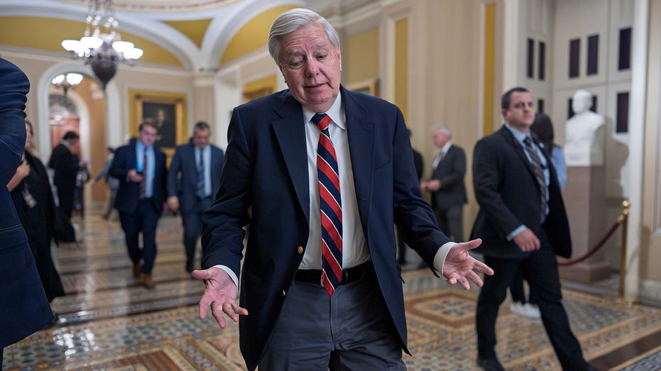 Lindsey Graham warns Republicans, Democrats trying to 'destroy' Trump is a losing game after Cassidy defeat