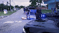 Video shows ICE officers arrest alleged MS-13 gang member described as 'known suspected terrorist' in Florida - Fox News