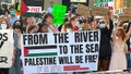 The great betrayal: How radical progressives are dynamiting the Black-Jewish alliance - Fox News