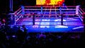 Social media reacts to controversial one-punch knockout in boxing match - Fox News