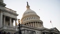 Reporter&rsquo;s Notebook: Democrats say they can still flip the House despite GOP redistricting gains in the South - Fox News