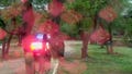 Texas Cessna plane crash kills 5; NTSB investigating - Fox News
