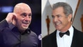 Joe Rogan podcast appearance tied to rise in demand for alternative cancer treatment - Fox News