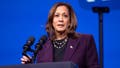 Former Dem megadonor blasts 2024 autopsy as waste of time, says reasons for loss are obvious - Fox News