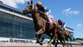 Horse dies after crossing the finish line in his first career race in tragic start to Preakness weekend - Fox News