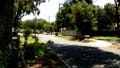 Florida shooting spree kills 4-month-old baby, toddler, their mother and grandmother across two scenes - Fox News