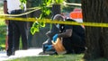 Man allegedly opens fire on Secret Service near White House as child injured in chaos - Fox News