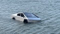 Texas man arrested after allegedly driving Tesla Cybertruck into lake to test 'Wade Mode': police - Fox News