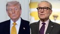 Trump accuses Schumer of trying to 'interfere in our elections' with latest strategy - Fox News