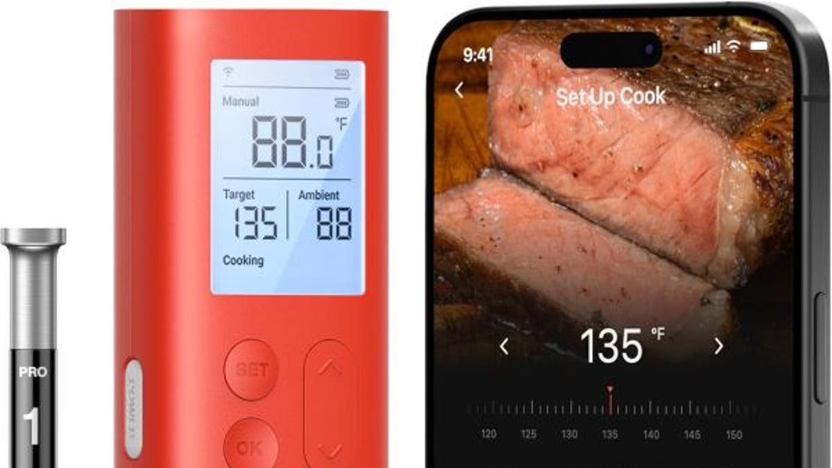 Wireless meat thermometer