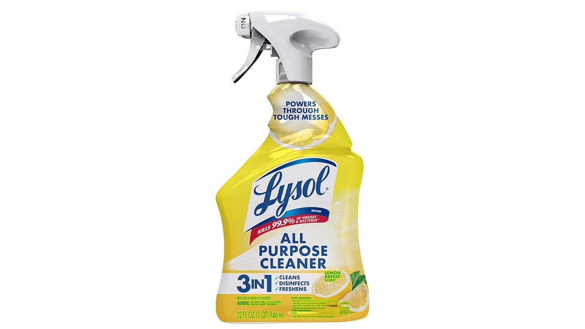 Clean your whole house with Lysol.