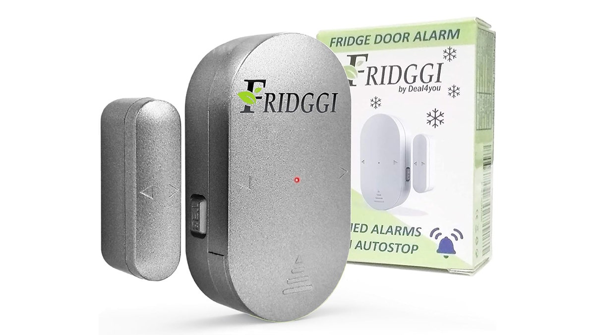 Make sure your food doesn't spoil with the help of a fridge alarm.