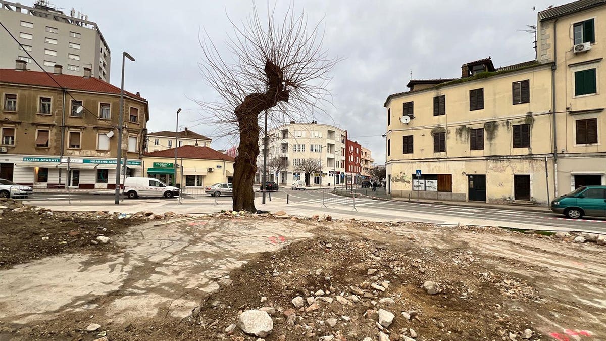 View of Relja neighborhood buildings, tree