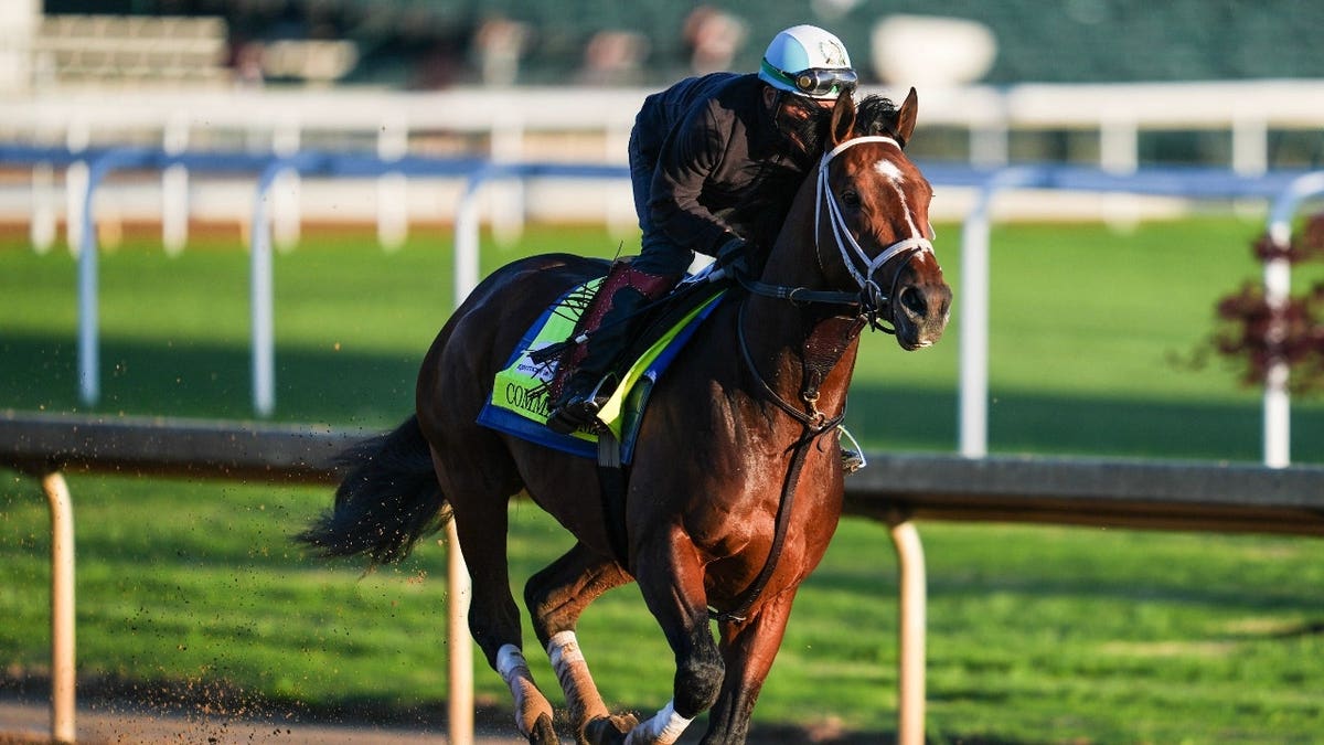 Commandment trains for the 2026 Kentucky Derby at Churchill Downs in Louisville.
