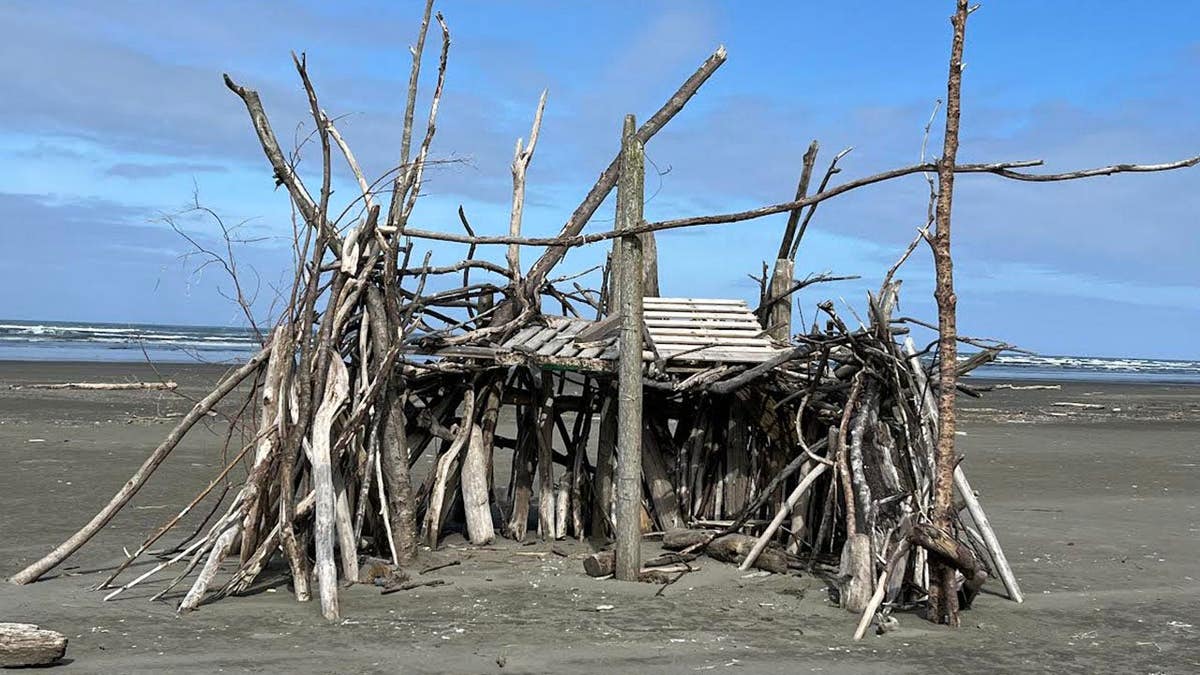 Driftwood is located on the coast of Washington.