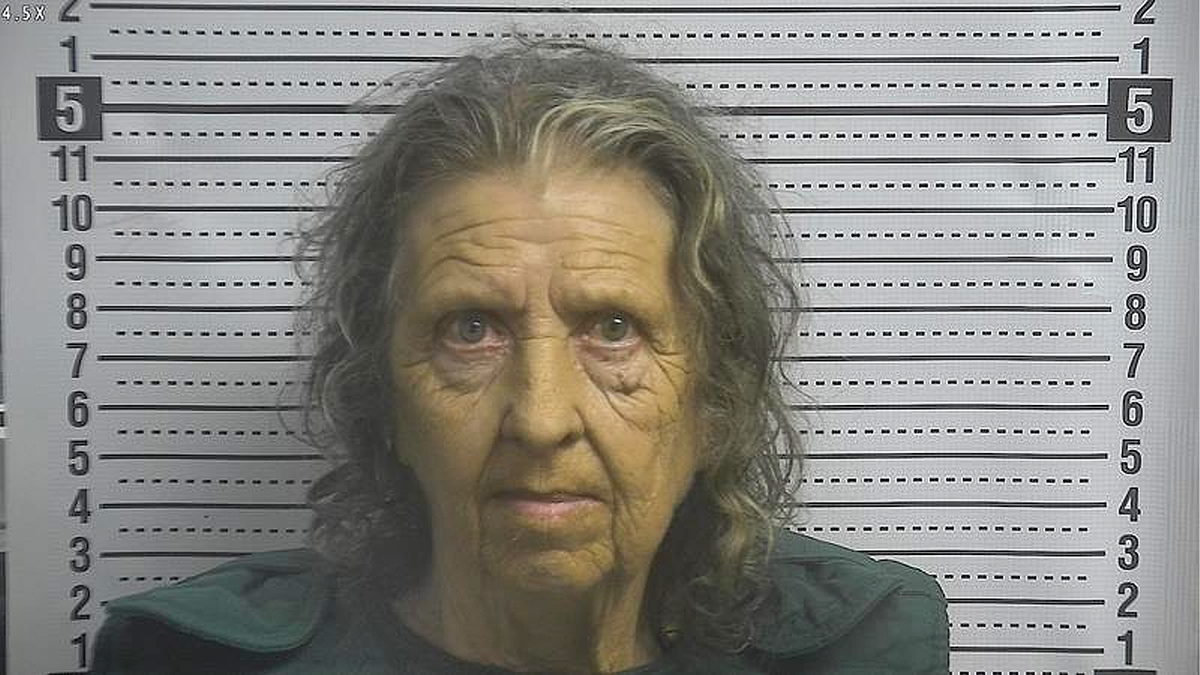 Mugshot of Barbara Ann Manning pursuing apprehension successful Boyle County acold case