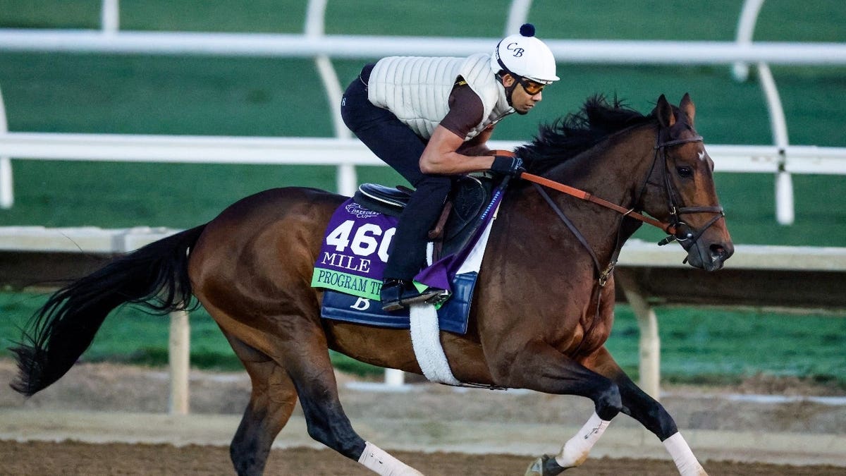 Program Trading with trainer Chad Brown and jockey Tyler Gaffalione is 4-1 on the morning-line to win the 2026 Turf Classic Stakes at Churchill Downs in Louisville.