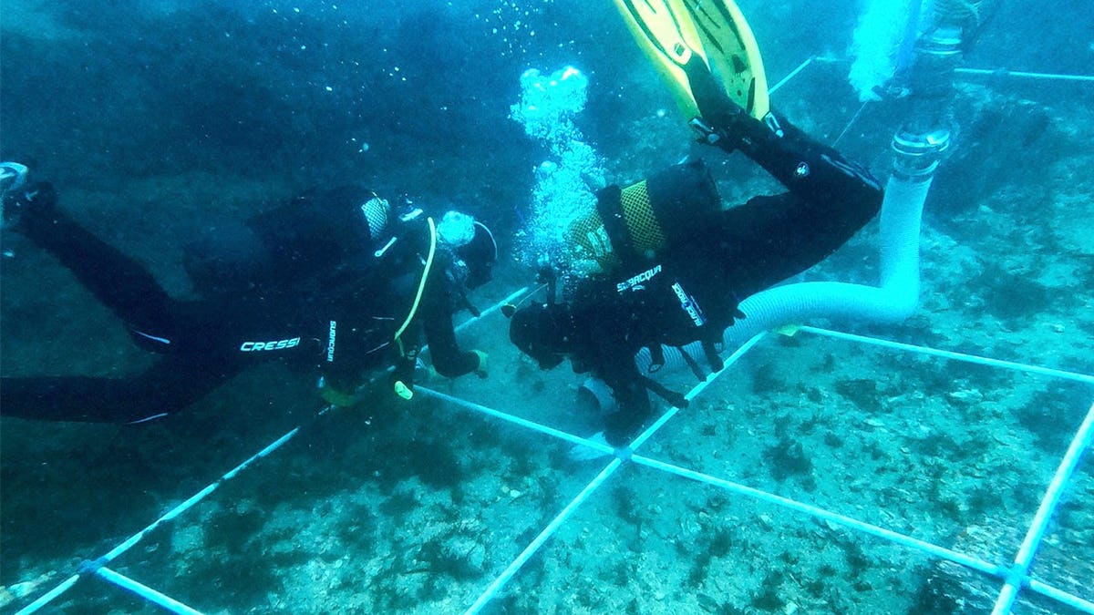 Divers near ruined shipwreck