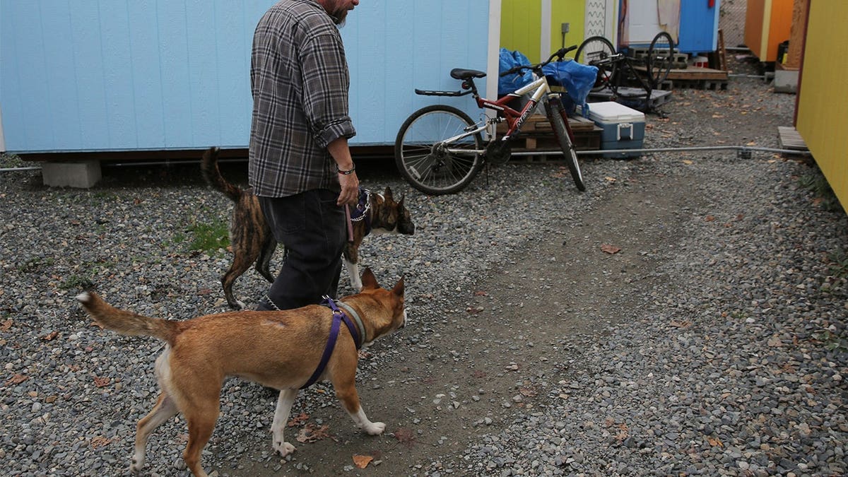 Seattle-man-with-dogs