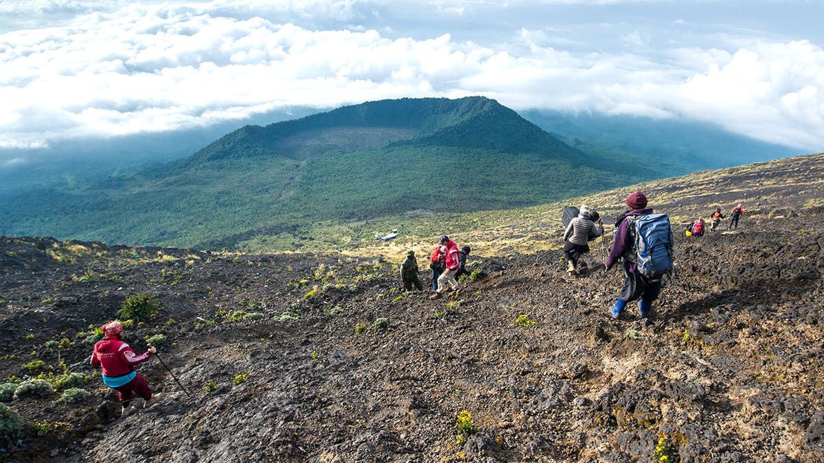 View of tourists in Congolese park