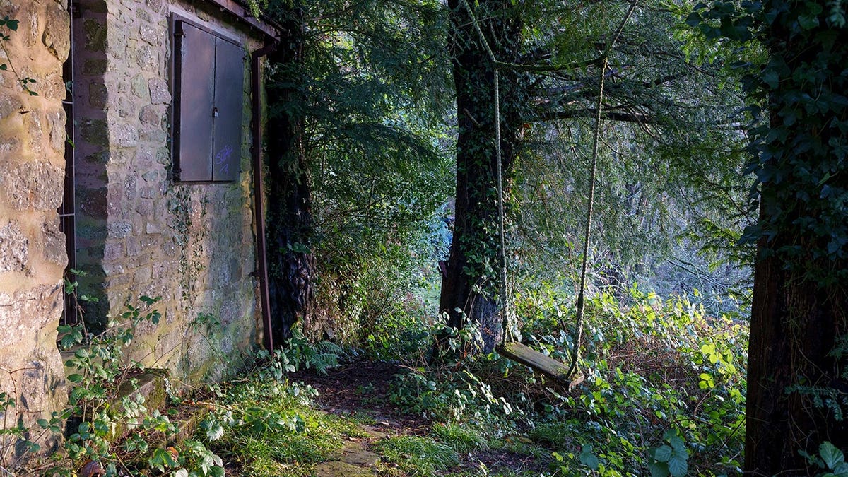 Vista do edifício Forest of Dean e balanço na floresta profunda