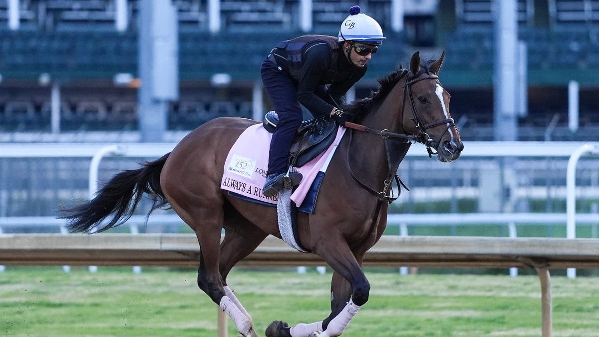 2026 Kentucky Oaks contender Always A Runner works at Churchill Downs. The horse is trained by Chad Brown and Jockey Dylan Davis is slated to ride her. She's currently at 15-1 odds. April 22, 2026