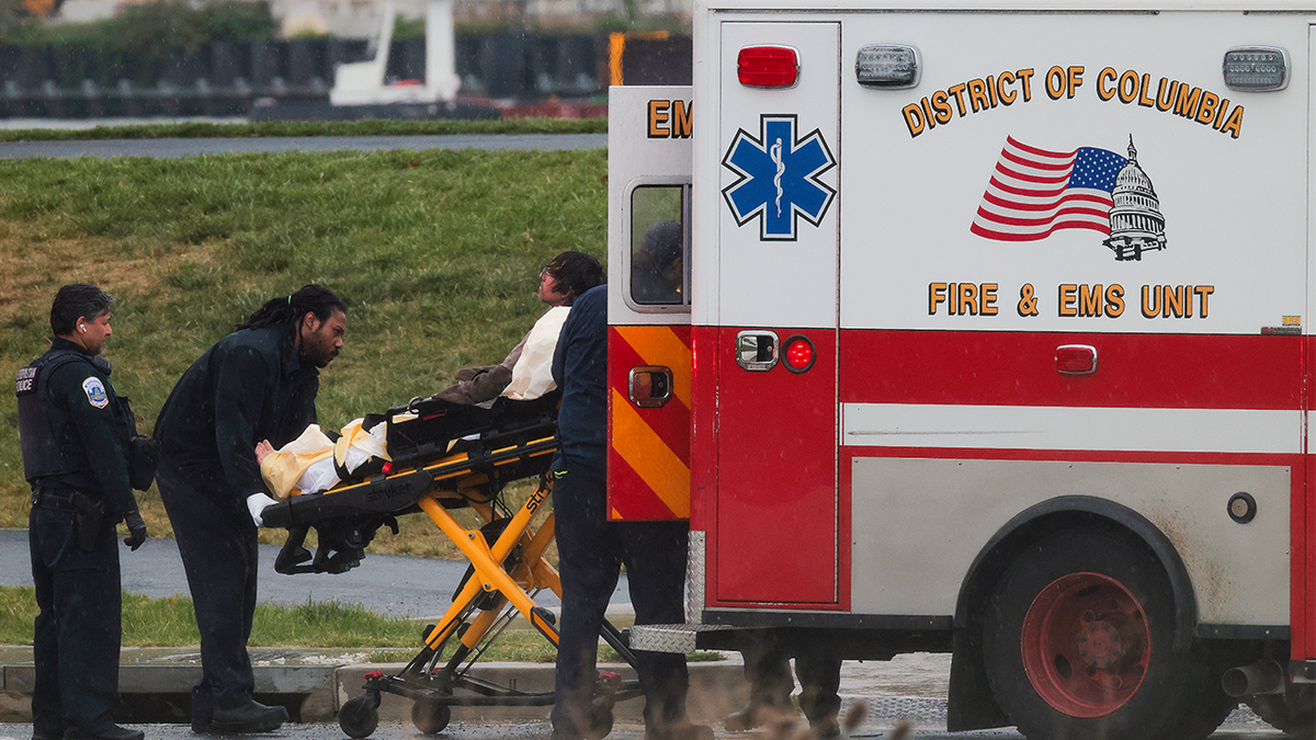 Protester Guido Reichstadter is put into an ambulance
