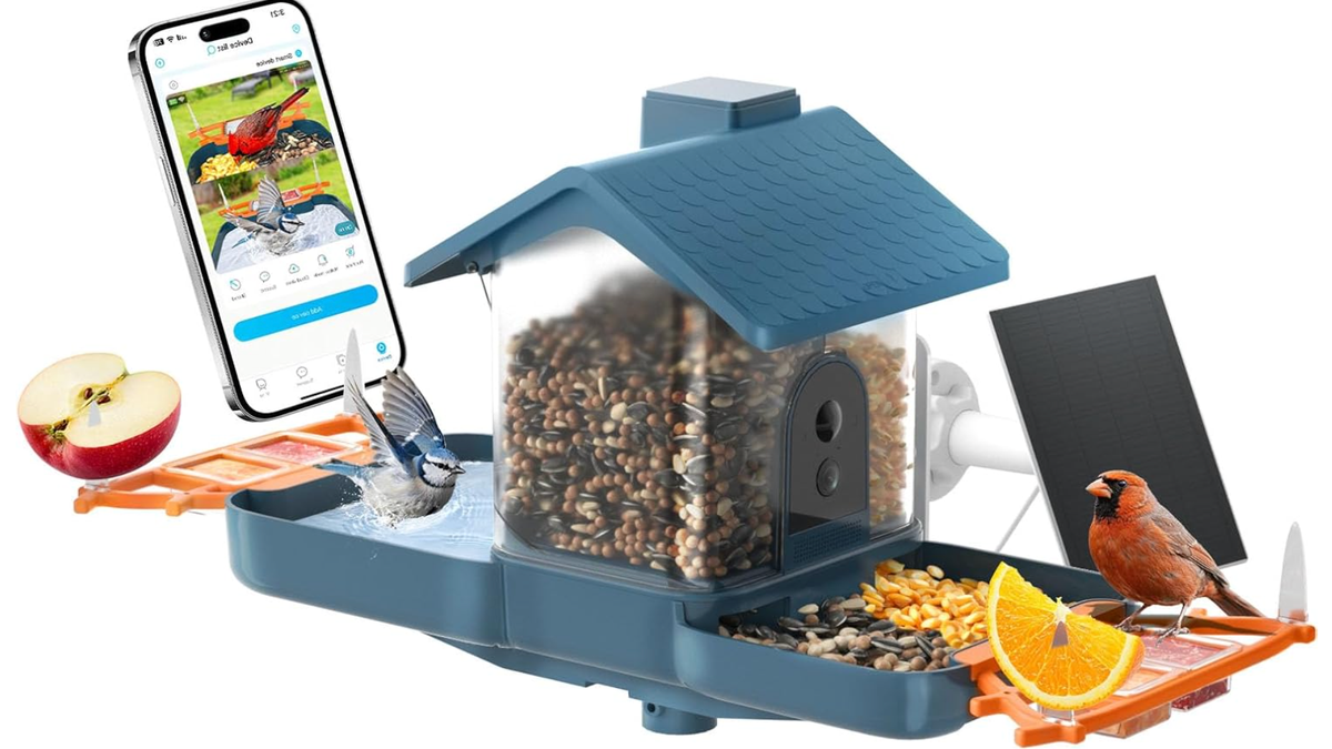 View your favorite birds from your smartphone.