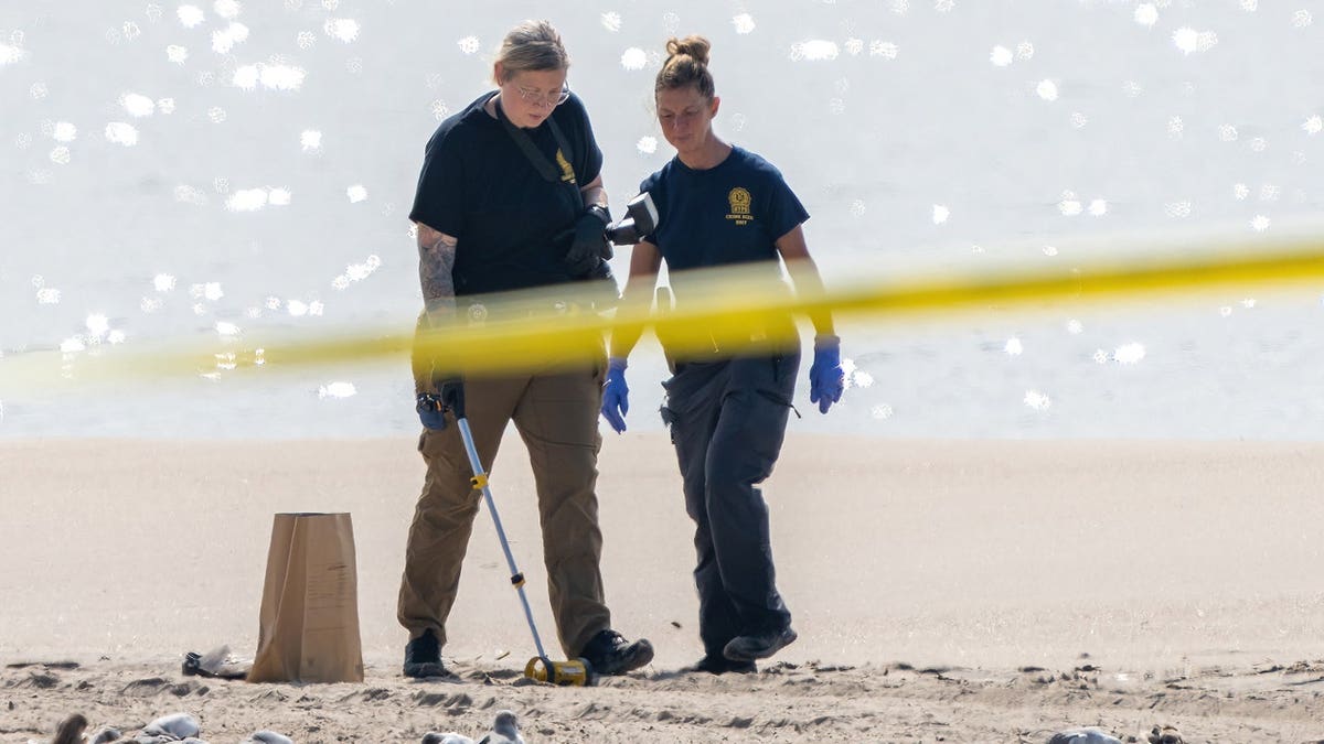 The children of Erin Merdy, 30, were found unconscious near the shoreline of Coney Island Beach during a frantic overnight search early Monday, Sept. 12, 2022.
