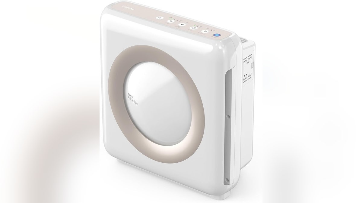 This compact purifier clears the air in smaller rooms.