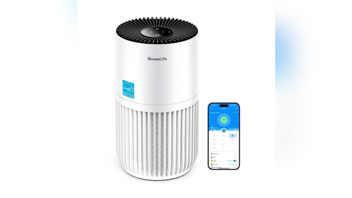 Packed with smart features, this purifier has an app with voice control.