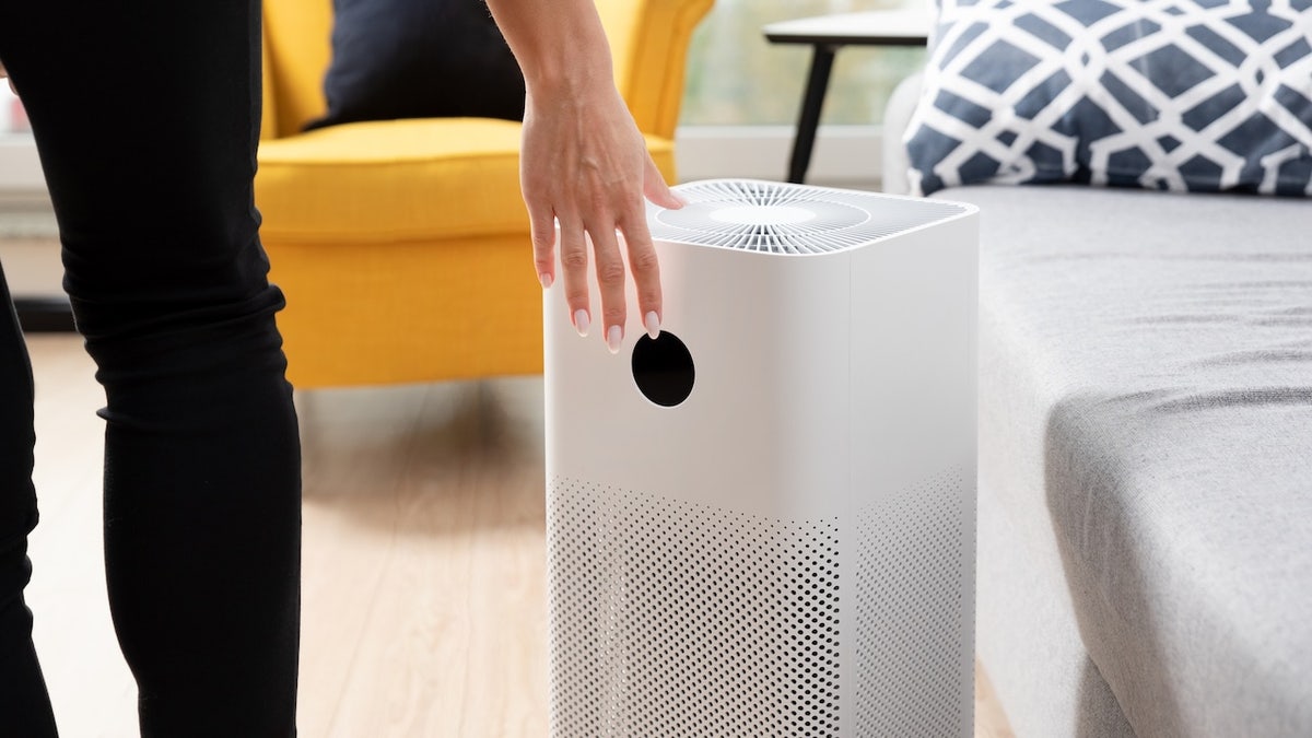 An air purifier can help remove airborne allergens.