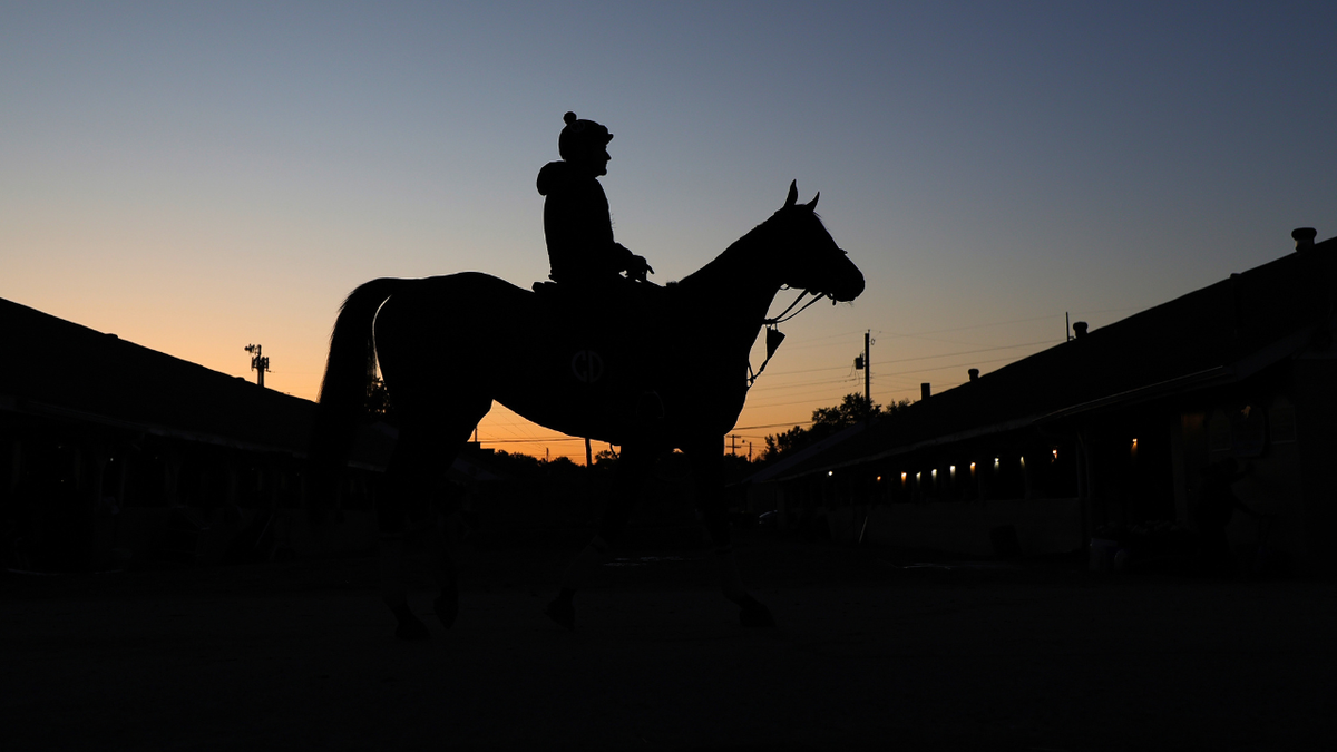 A qualifying horse is seen during a morning training session on the track at Churchill Downs.